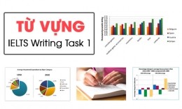 Tổng hợp từ vựng Trong IELTS Writing Task 1