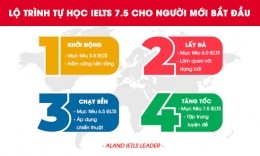 Lộ trình tự học IELTS 7.5 cho người mới bắt đầu