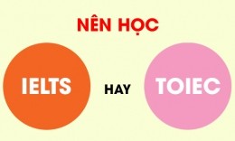 Nên học IELTS hay TOEIC 4 kỹ năng?