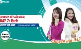 Ngày 7: Các loại động từ (verb)