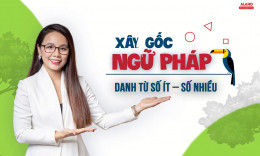 Ngày 1: Danh Từ Số Ít – Số Nhiều