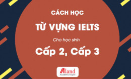 Cách học từ vựng IELTS hiệu quả cho Học sinh Cấp 2, 3