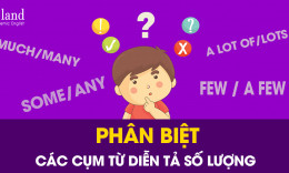 Lý Thuyết Các Cụm Từ (Cụm Từ) Diễn Tả Số Lượng ( Expressions Of Quantity)