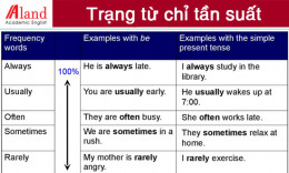 Trạng từ chỉ tần suất: Cách học và Sử dụng hiệu quả