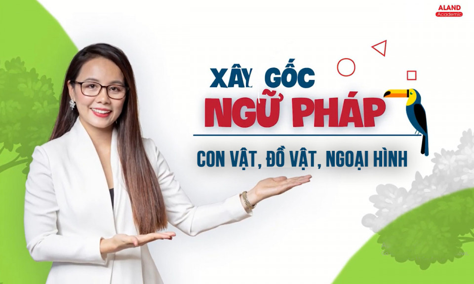 Từ vựng về con vật, hoạt động, đồ vật, ngoại hình