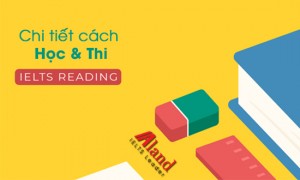 IELTS Reading - Chi tiết cách Học & Thi theo từng dạng bài