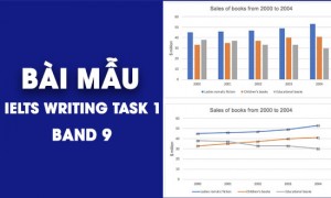 Tổng hợp bài mẫu IELTS Writing Task 1 - Band 8.0