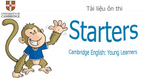 7 đề thi thử Starters Cambridge tốt nhất