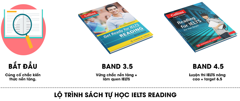 lộ trình học ielts reading cho người mới bắt đầu