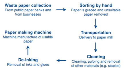 bài mẫu dạng process (quy trình)